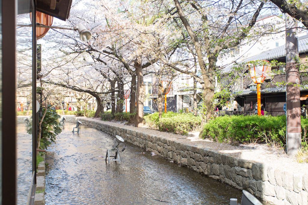 おばんざいと純洋食 アイサニ 桜